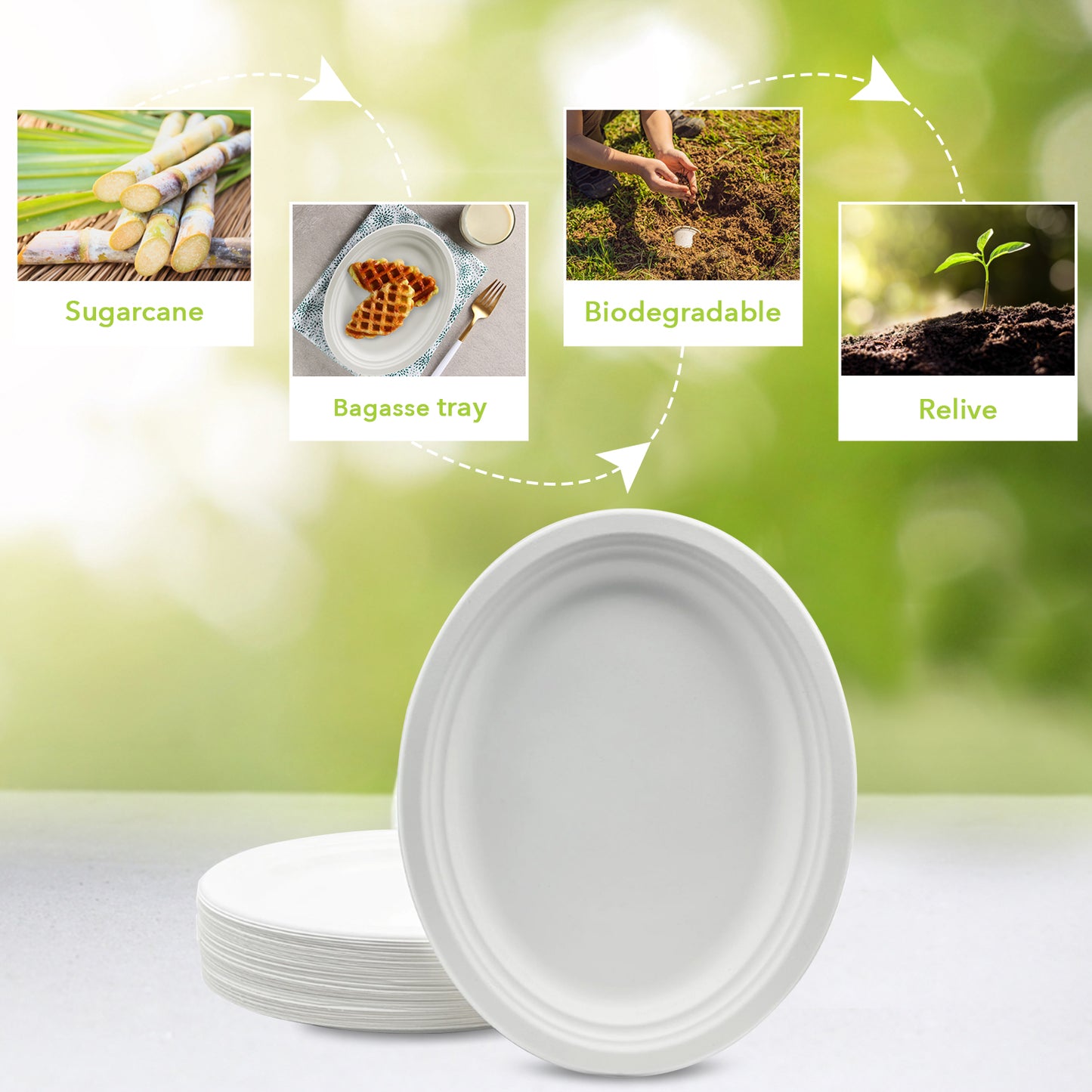 Three Leaf 12" X 10" Bagasse Oval Plate, 500 Ct.