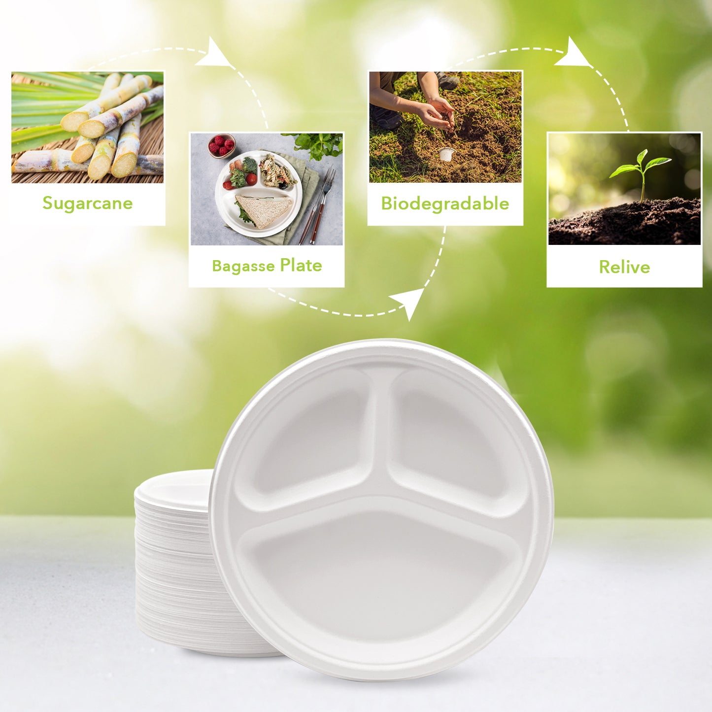 Three Leaf 9" 3 Compartment Bagasse Round Plate, 500 Ct.