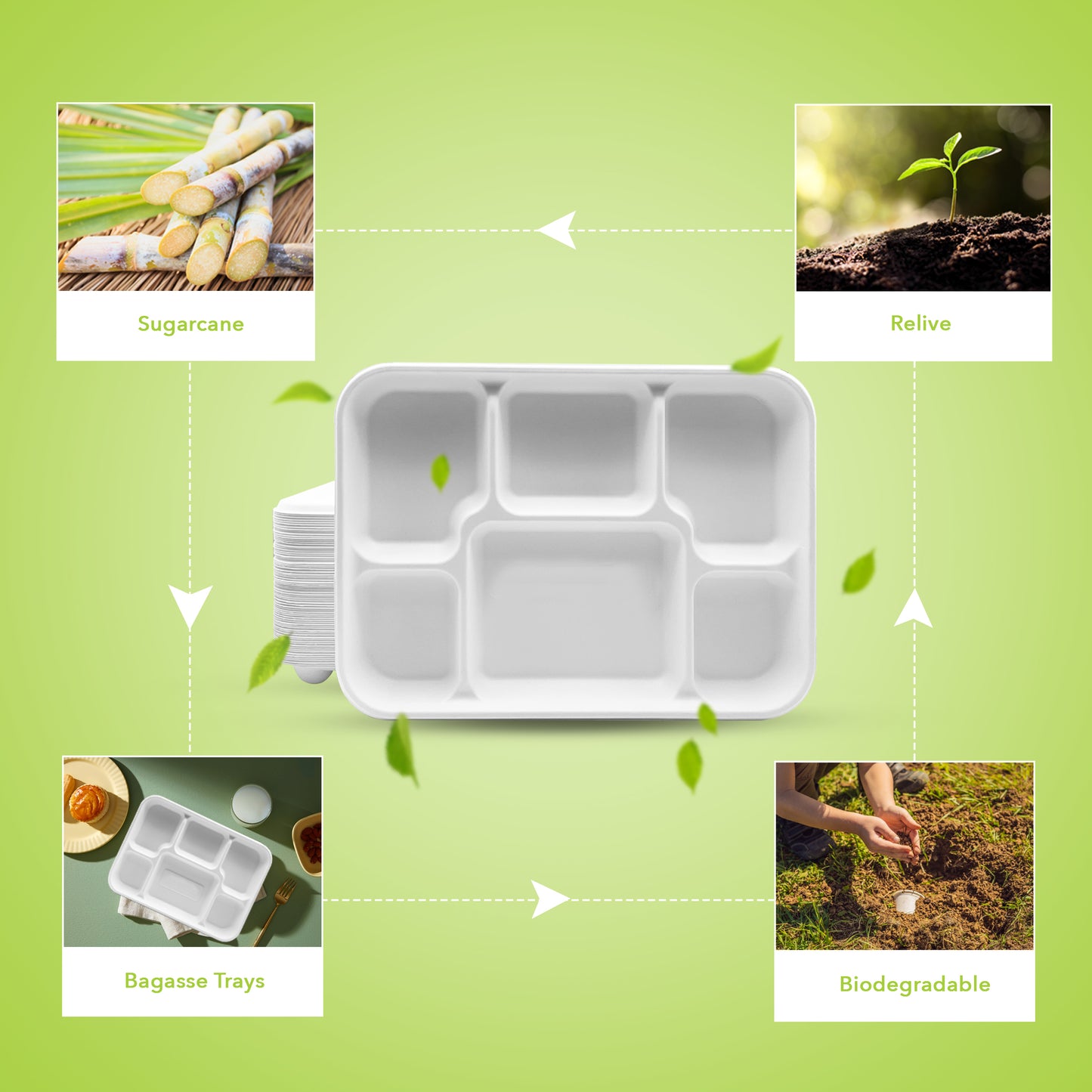 Three Leaf 6 Compartment Bagasse Meal Tray 400 Ct.