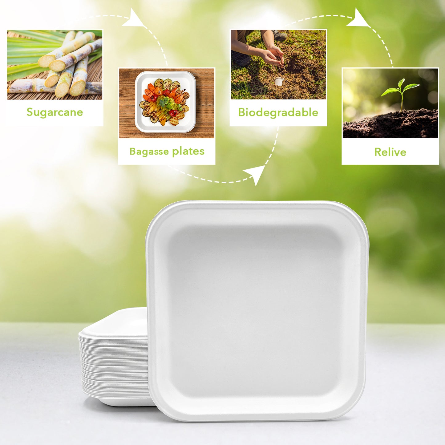 Three Leaf 9" Bagasse Square Plate, 500 Ct.