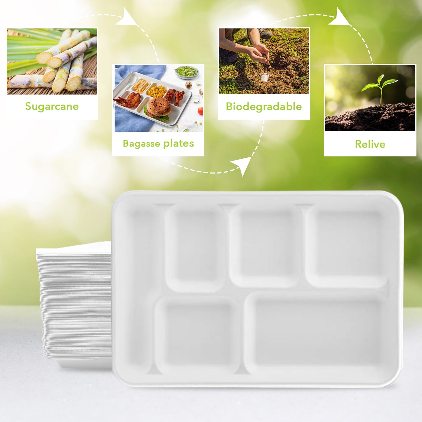 Three Leaf 6 Compartment Bagasse Tray 400 Ct.