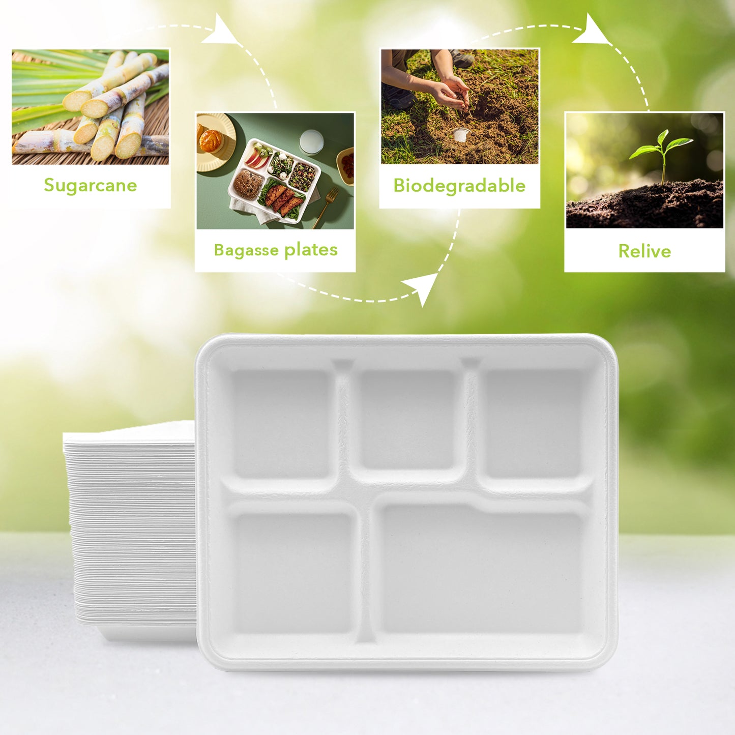 Three Leaf 5 Compartment Bagasse (School) Tray 500 Ct.