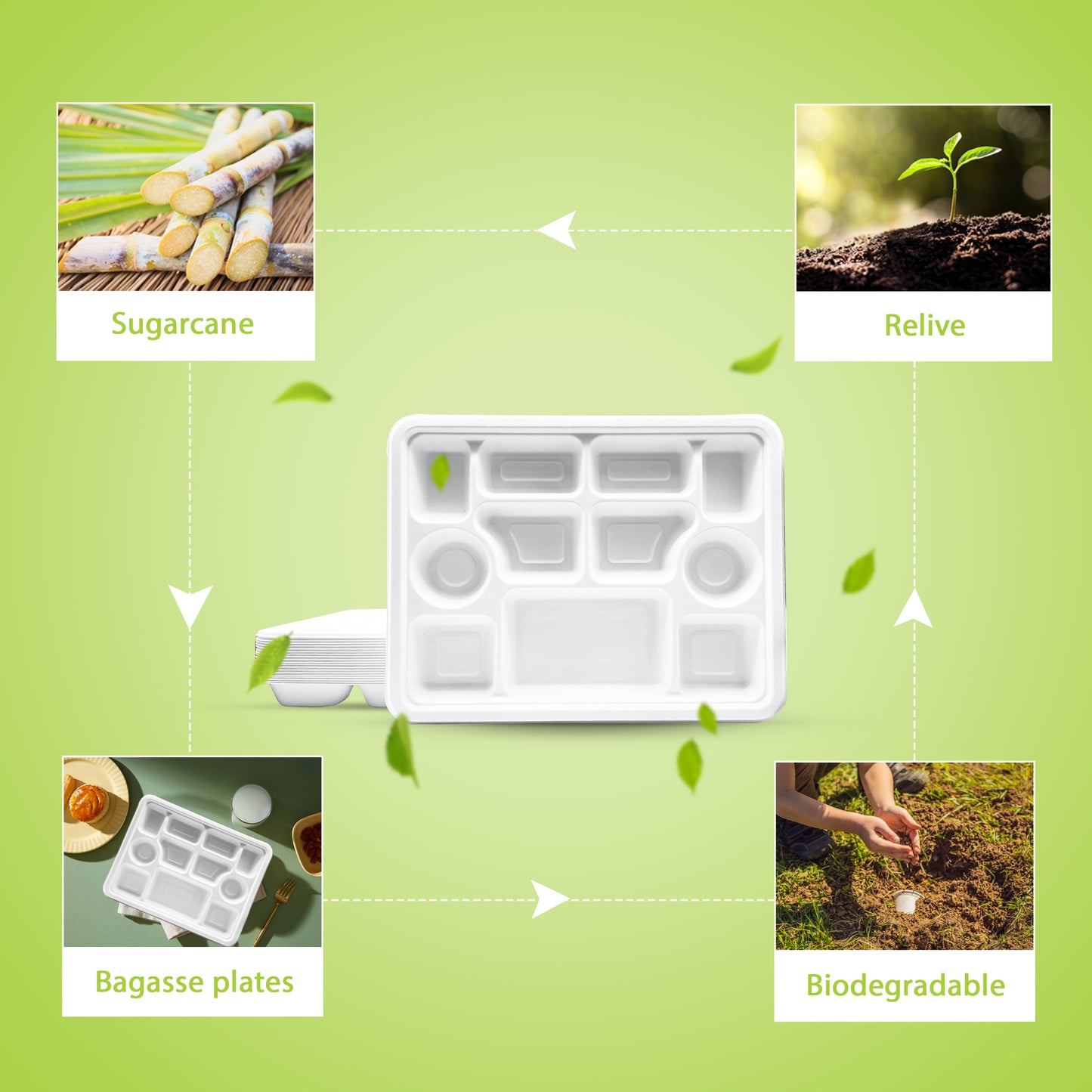 Three Leaf 11 Compartment Bagasse Rectangular Plate, 200 Ct.