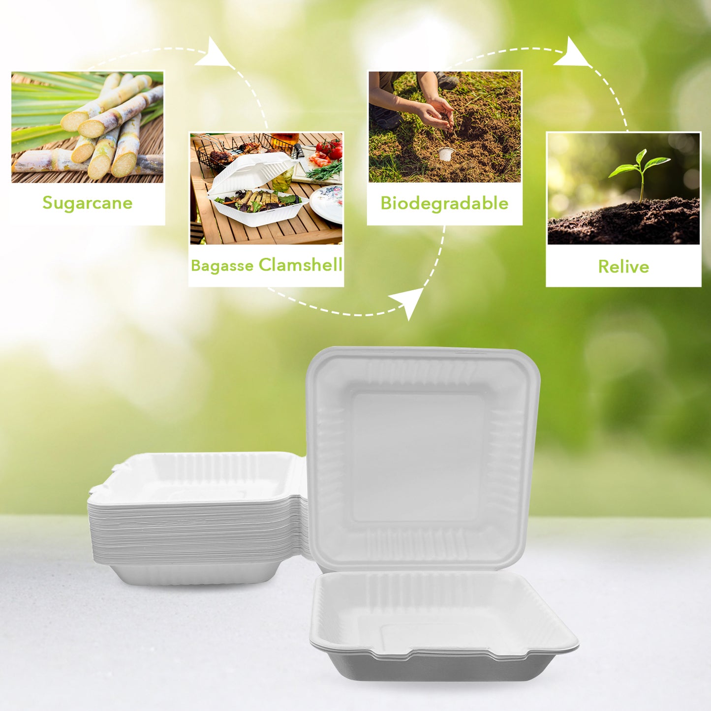 Three Leaf 8" X 8" 1 Compartment Bagasse Clamshell, 200 Ct.