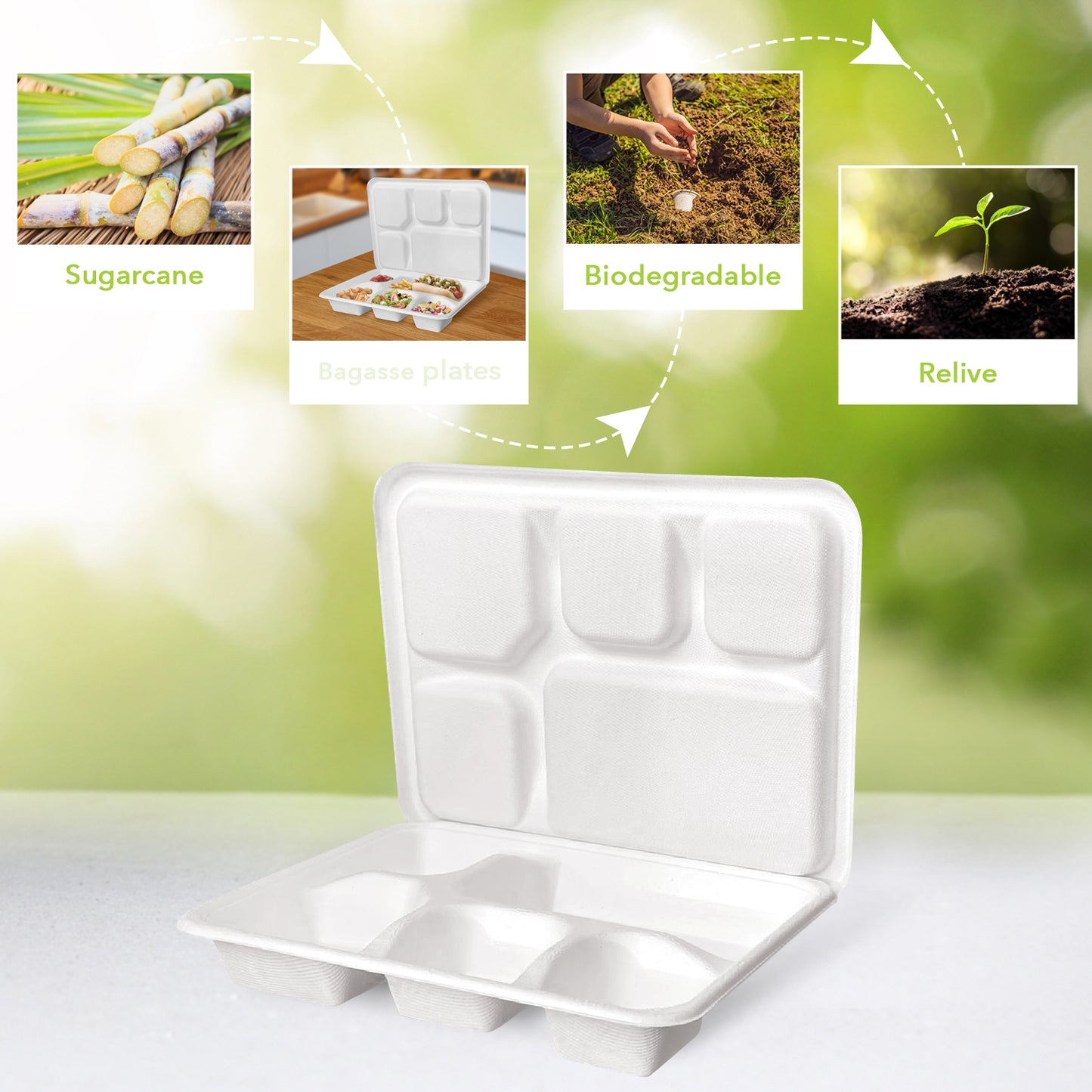 Three Leaf 5 Compartment Meal Tray With Lid Set, 200 Sets