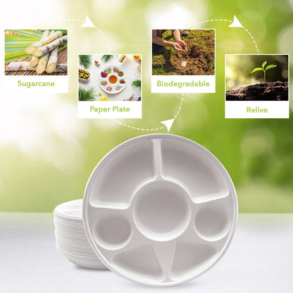 Three Leaf 7 Compartment Bagasse Round Plate, 200 Ct. (8 Packs Of 25)