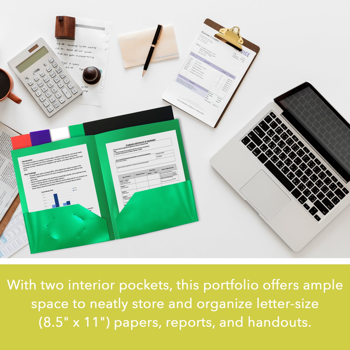 Three Leaf 2-Pocket Poly Portfolio, Solid Colors