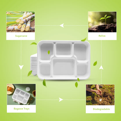 Three Leaf 6 Compartment Bagasse Meal Tray 400 Ct.