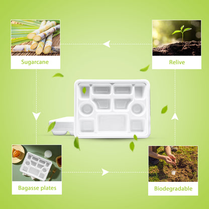 Three Leaf 11 Compartment Bagasse Rectangular Plate, 200 Ct.