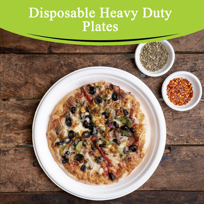 Three Leaf 10" Bagasse Round Plate, 500 Ct.