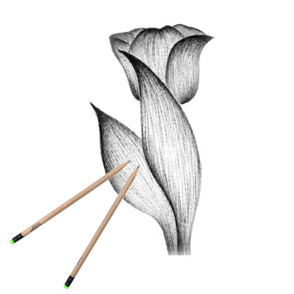 Three Leaf 10 Ct. #2 Hb Recycled Paper Pencils