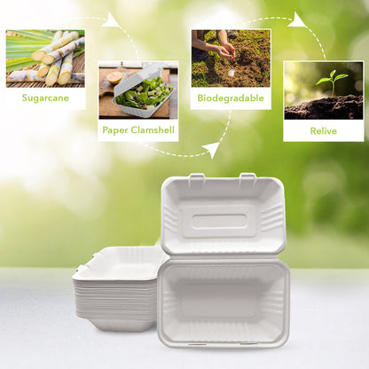 Three Leaf 9" X 6" 1 Compartment Bagasse Clamshell, 200 Ct. (4 Packs Of 50)